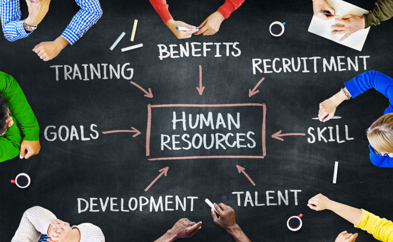 Human Resources Audit and Development